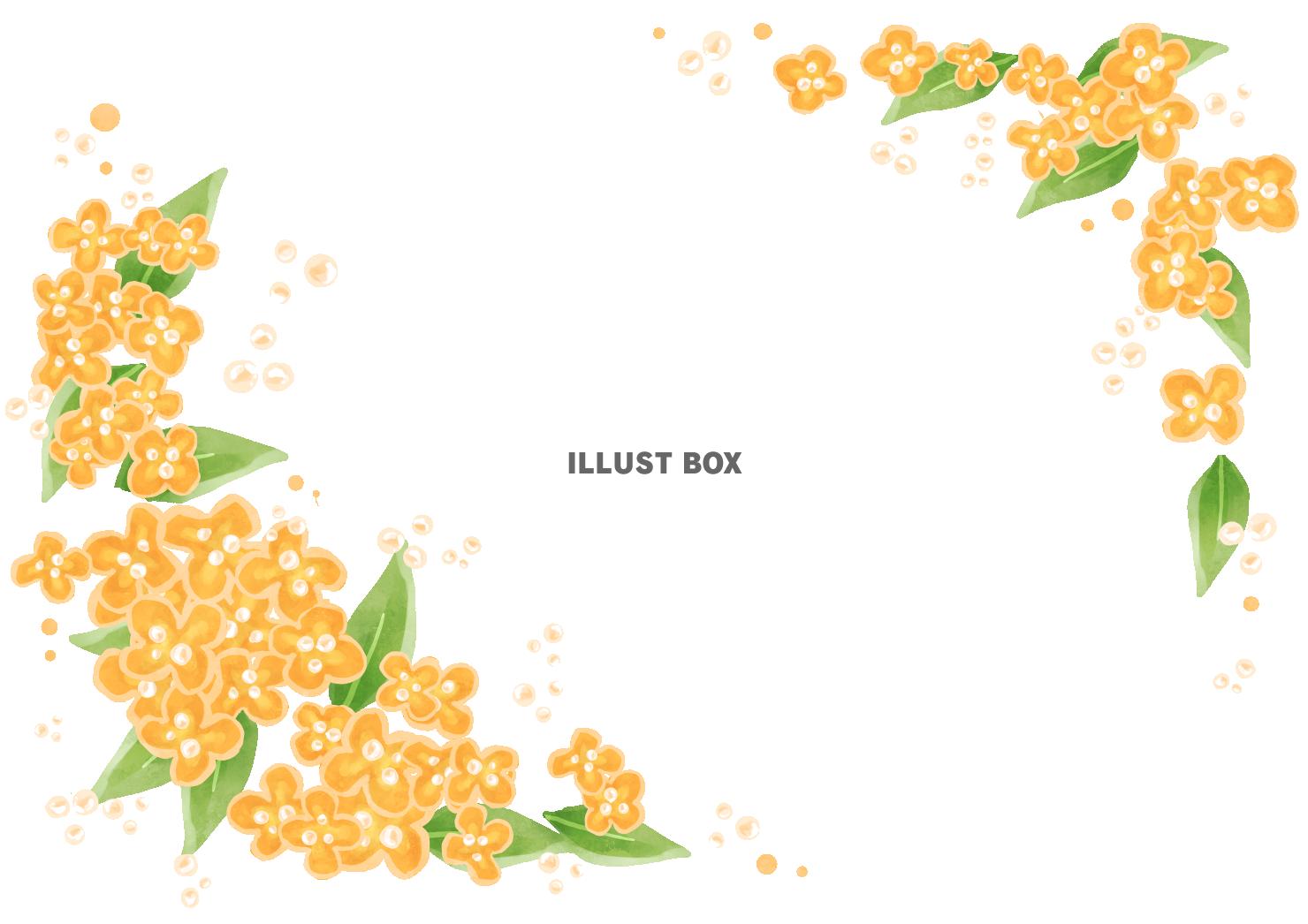 金木犀フレーム1