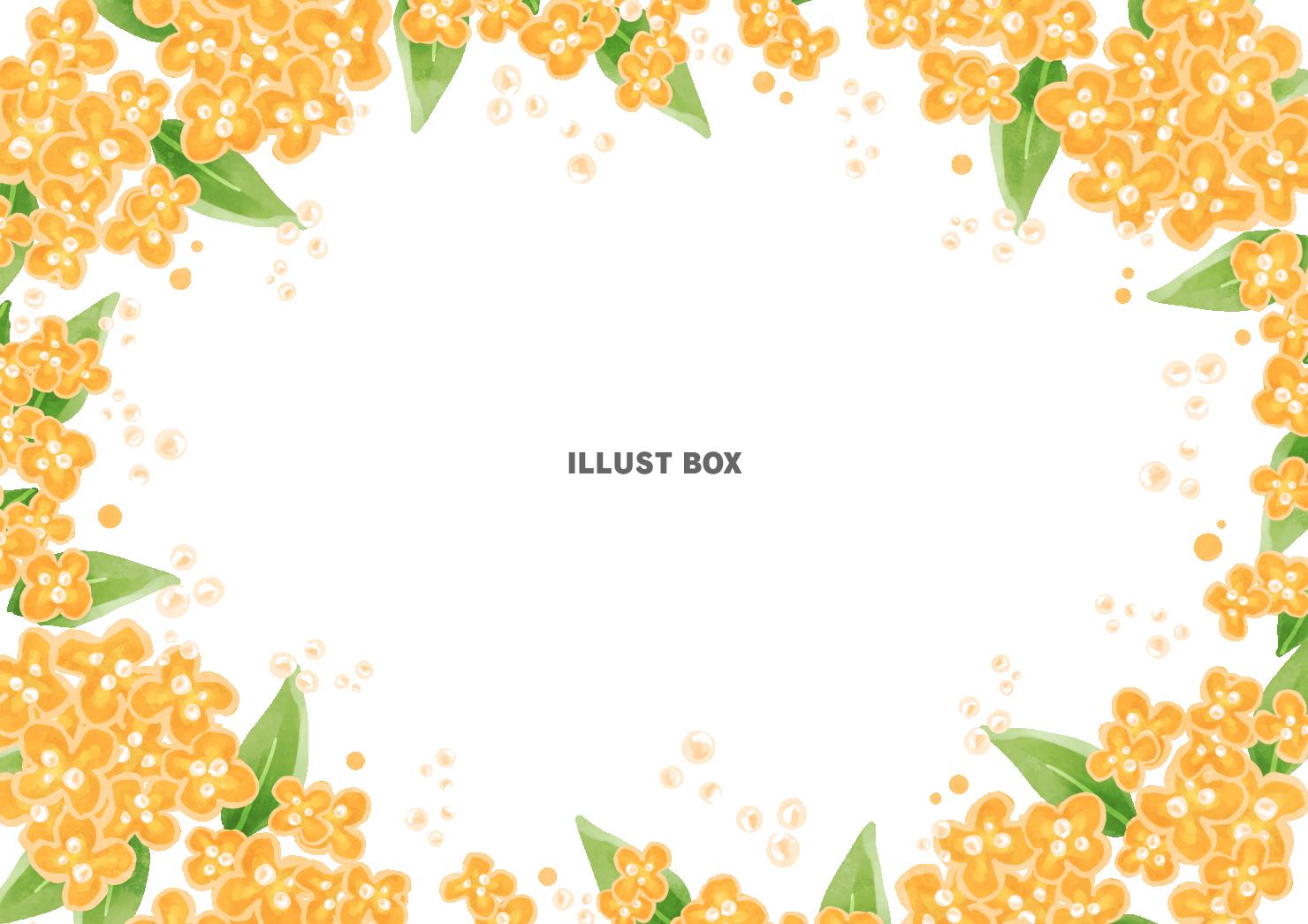 金木犀フレーム2