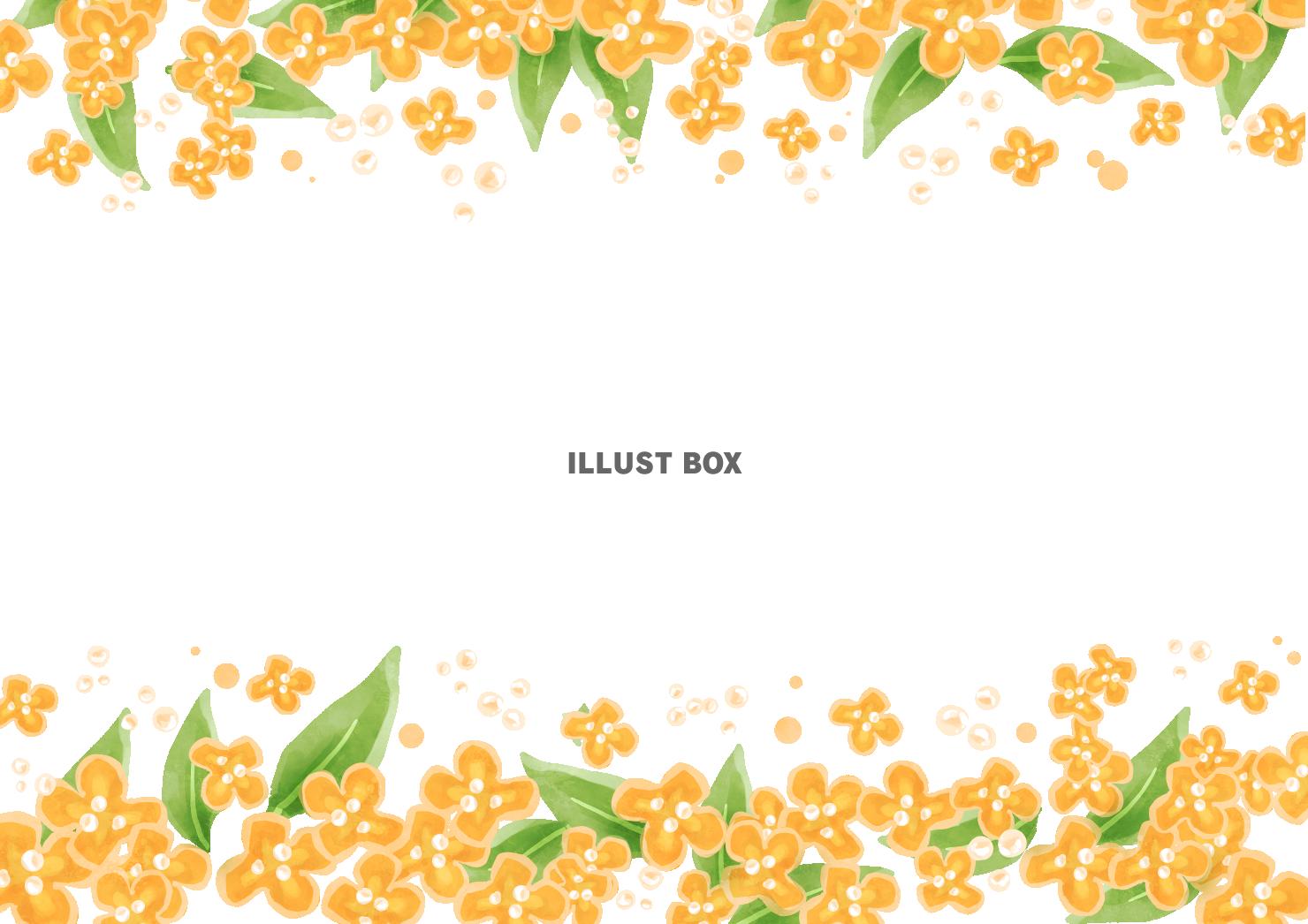 金木犀フレーム3