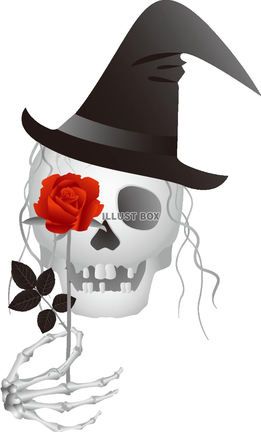 骸骨魔女に赤バラを(透過PNG)EPSはCS2版