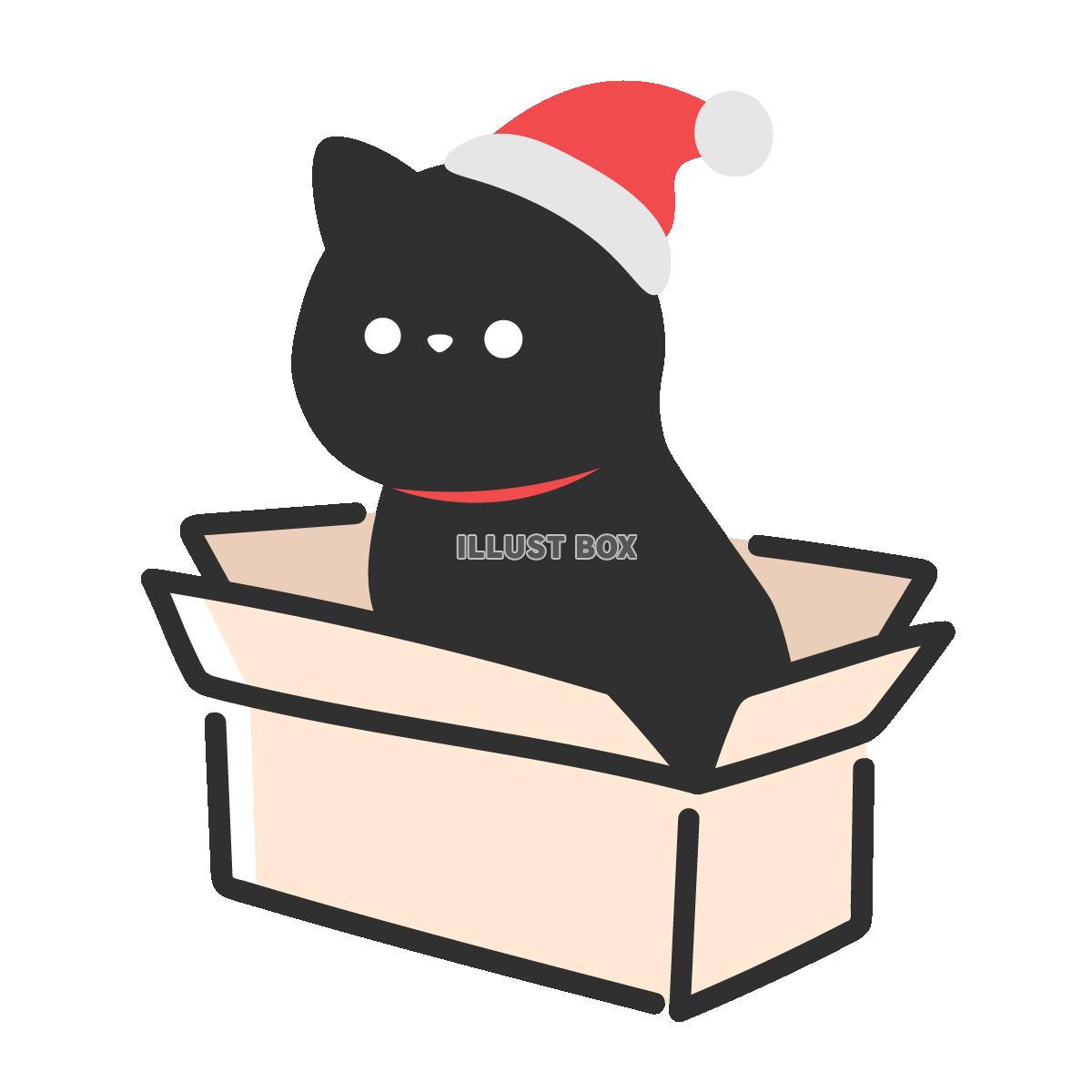 段ボールに入ったサンタ帽子の黒猫