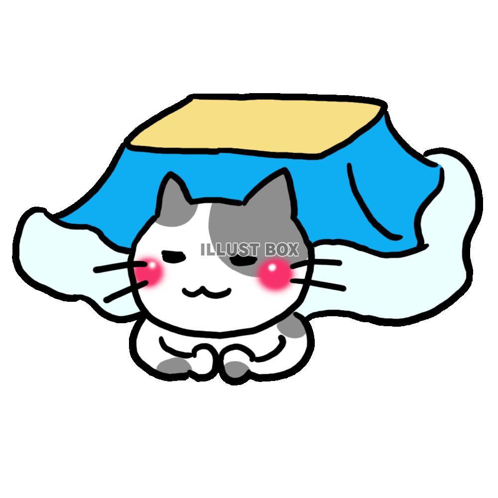 こたつに入っているハチワレ猫