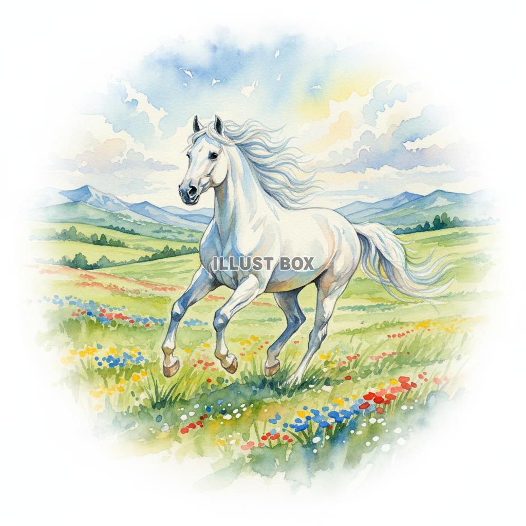 午年のイラスト 花畑の草原を力強く駆ける白い馬の美しい水彩画...