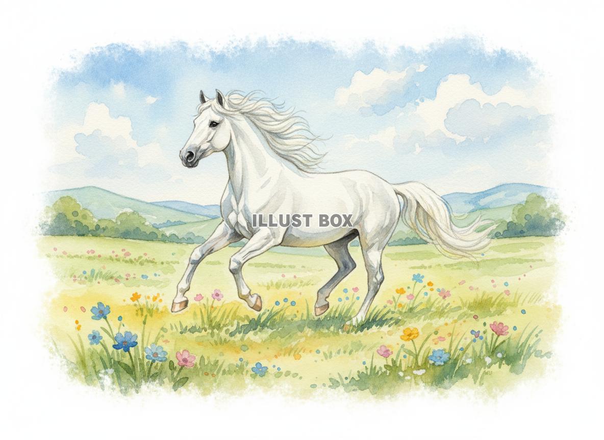 午年のイラスト 花畑の草原を力強く駆ける白い馬の美しい水彩画...