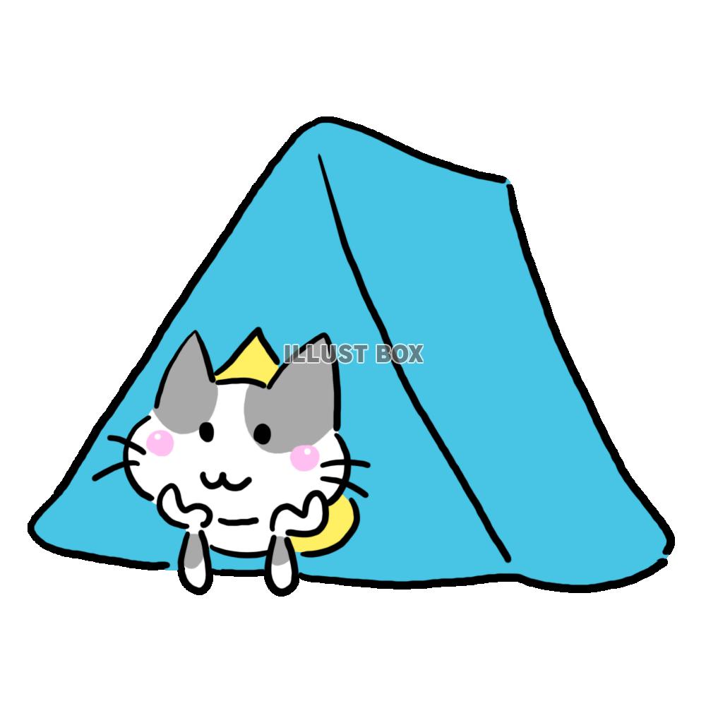 キャンプするハチワレ猫(テント編)