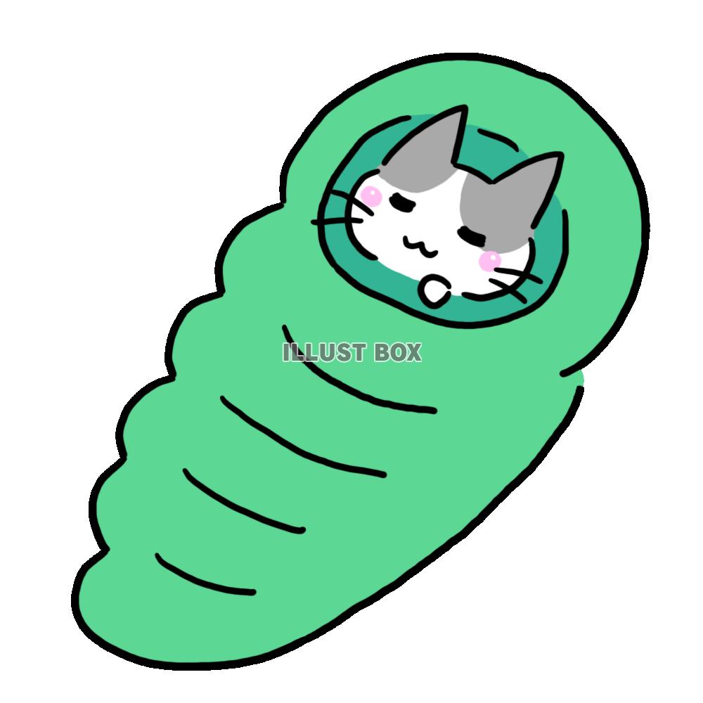 キャンプするハチワレ猫(寝袋編)