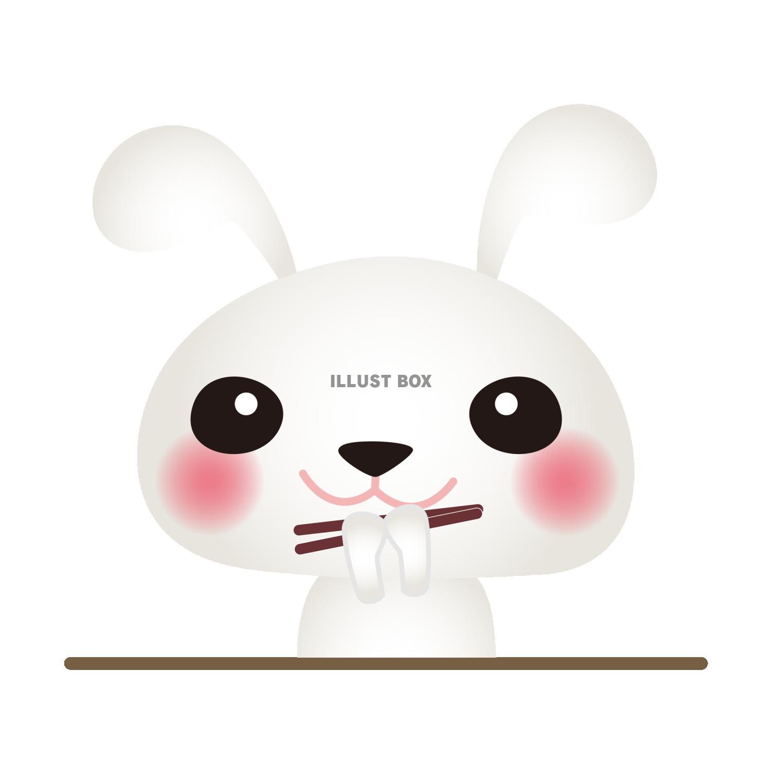 白うさぎお箸でいただきます