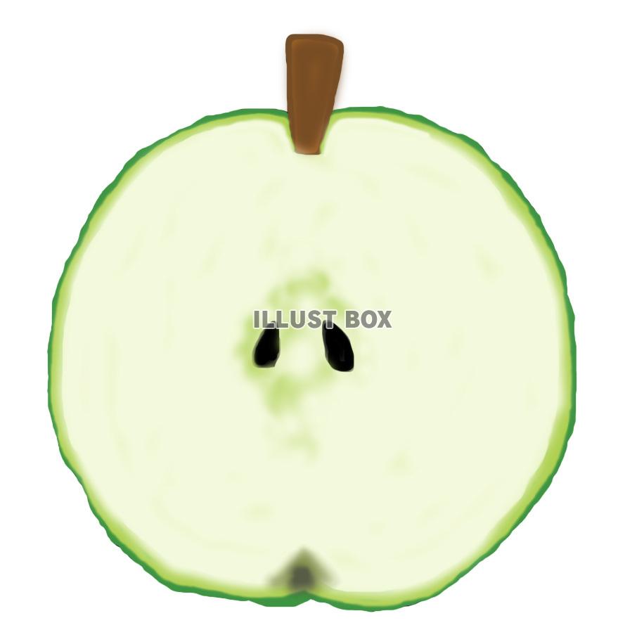 青林檎(断面)jpg