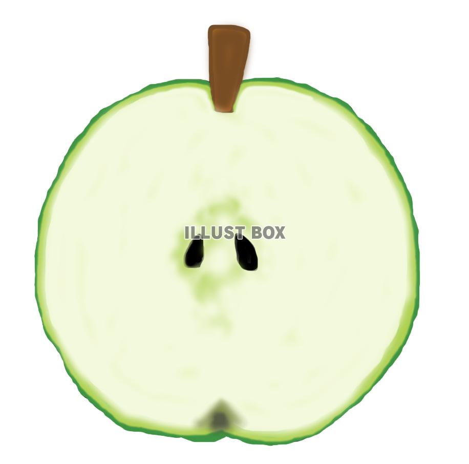 青林檎(断面)png