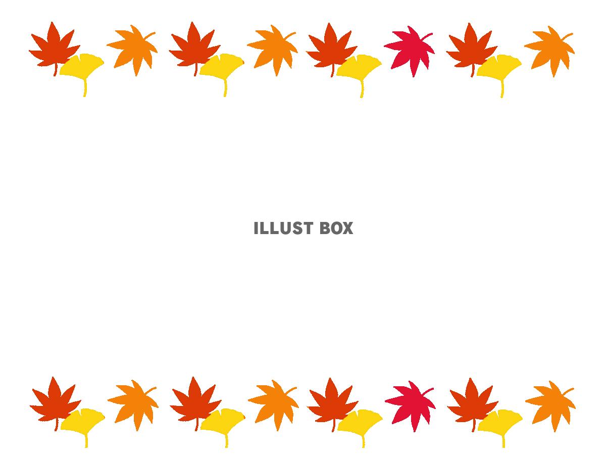 もみじとイチョウのフレーム　透過png