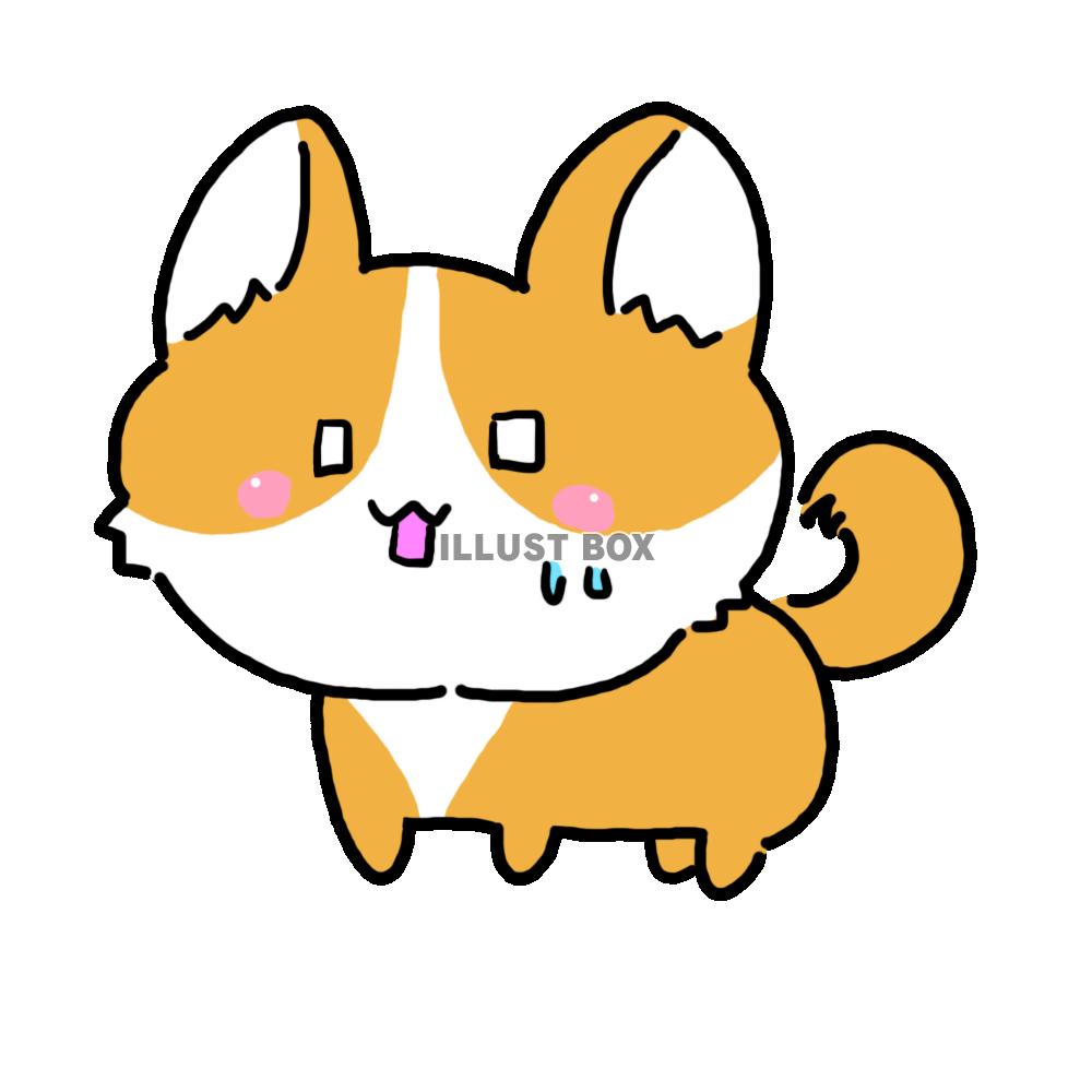 茶色のワンコ(驚愕)