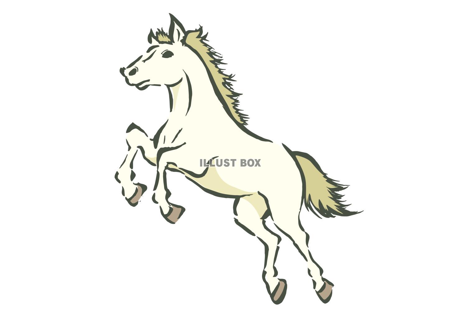 2026年午年年賀状イラスト 手描きの駆ける白馬