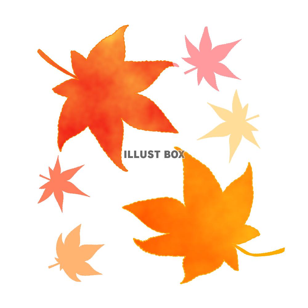 もみじ素材　透過png