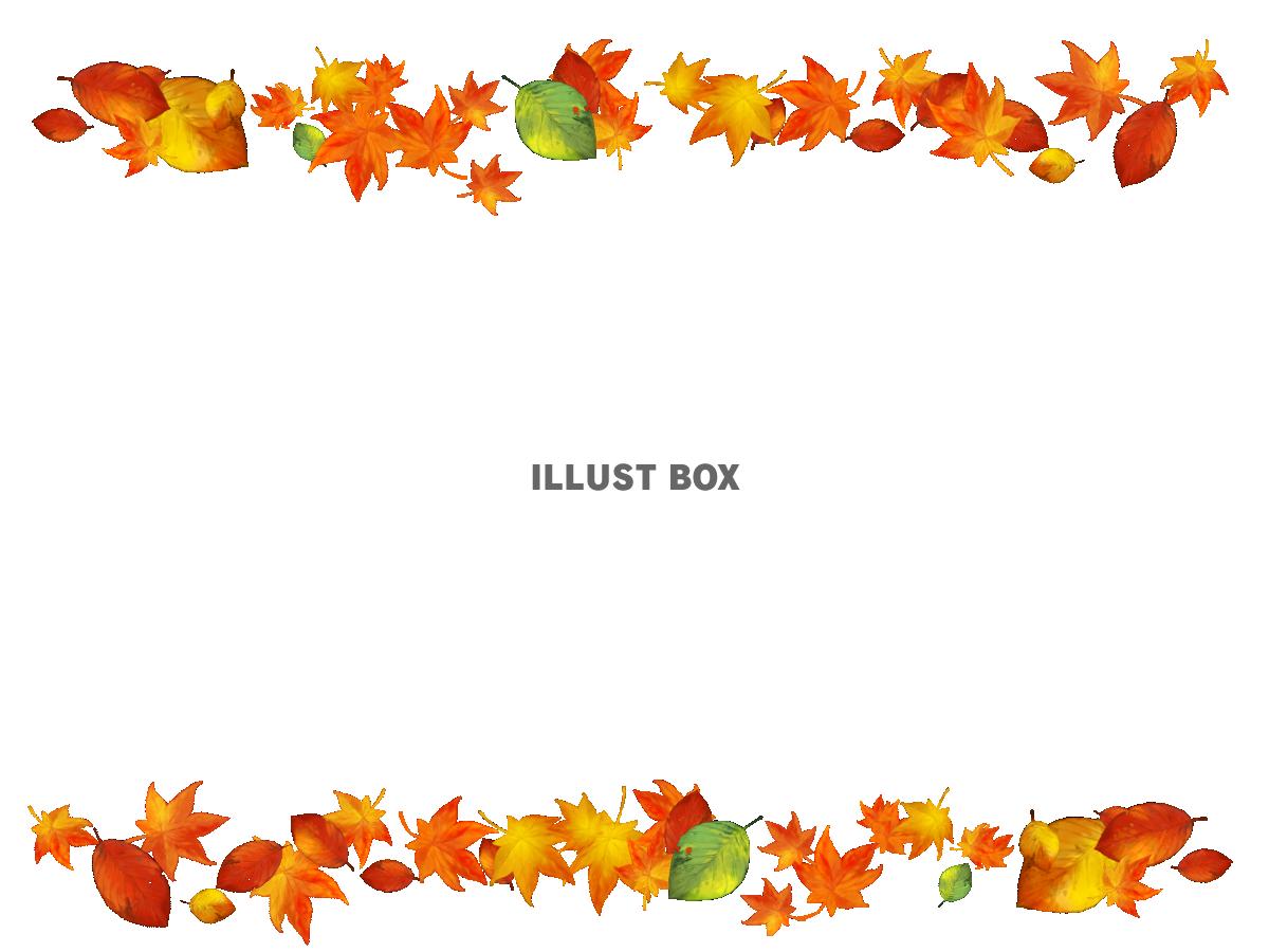 紅葉落ち葉フレーム　透過png