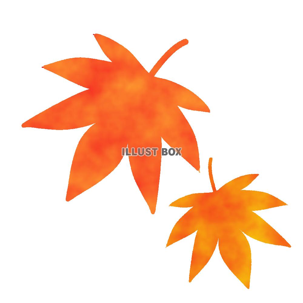 オレンジ紅葉　透過png