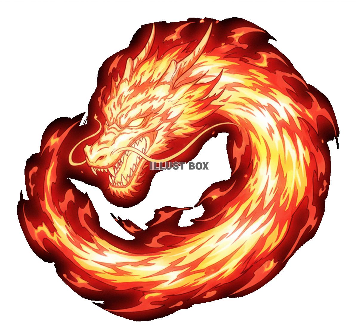 【透過PNG】炎の呼吸風　燃え盛る炎の龍（ドラゴン）のイラス...