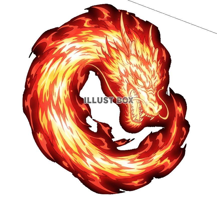 【透過PNG】炎の呼吸風　燃え盛る炎の龍（ドラゴン）のイラス...