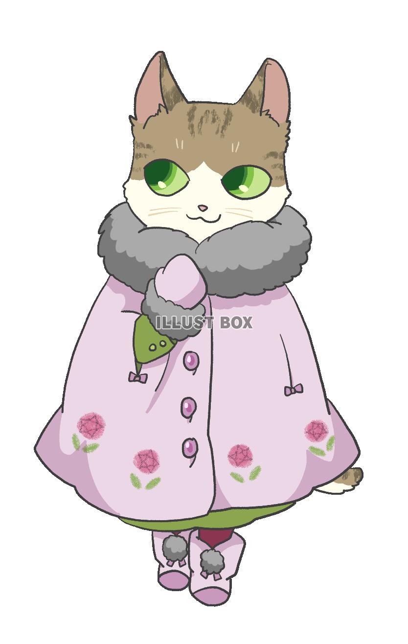 ボアケープを着た猫