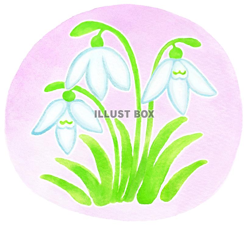 水彩のスノードロップ２
