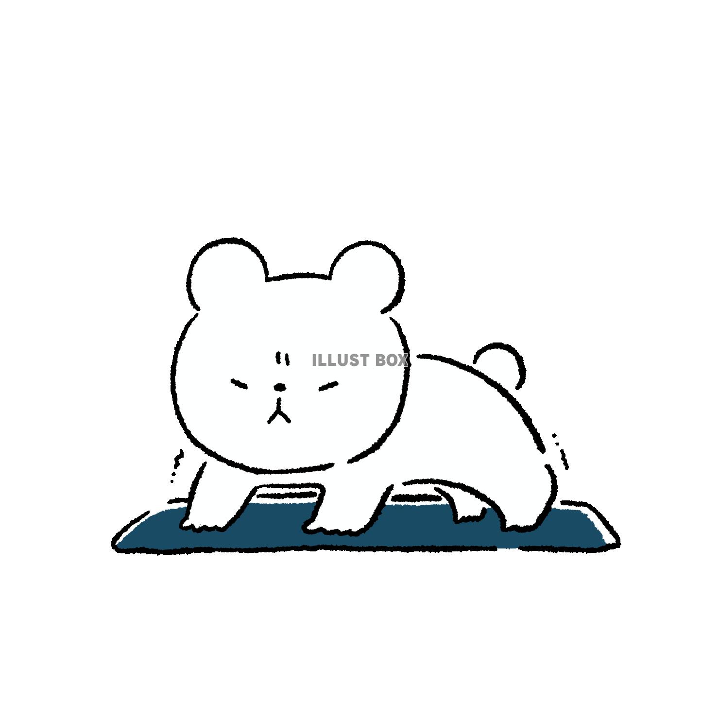 腕立て伏せに苦戦するくま