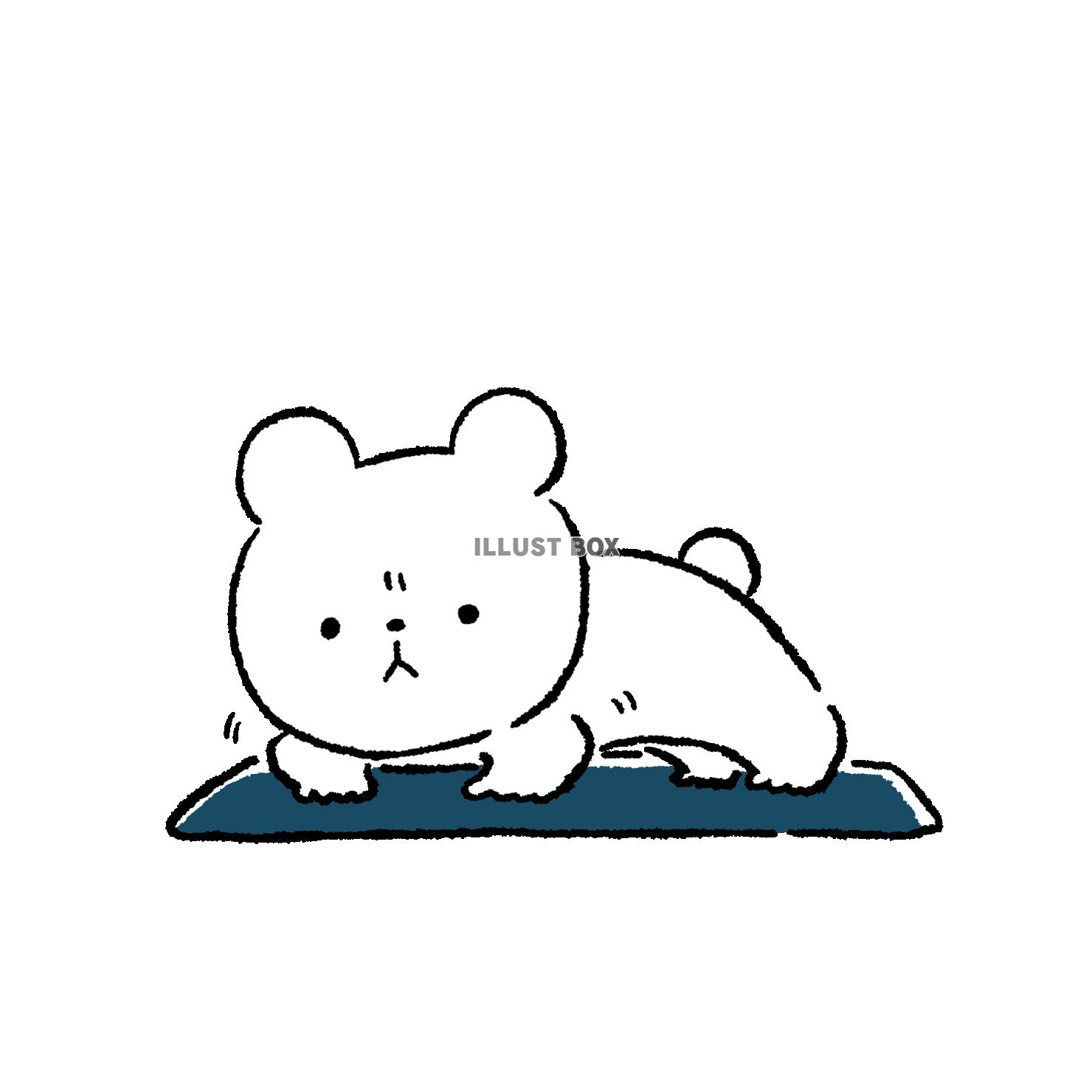 腕立て伏せをするくま