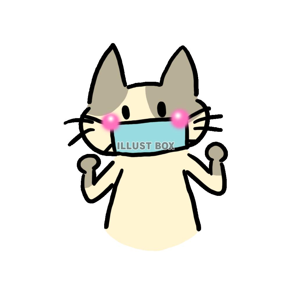 ハチワレ猫とマスク