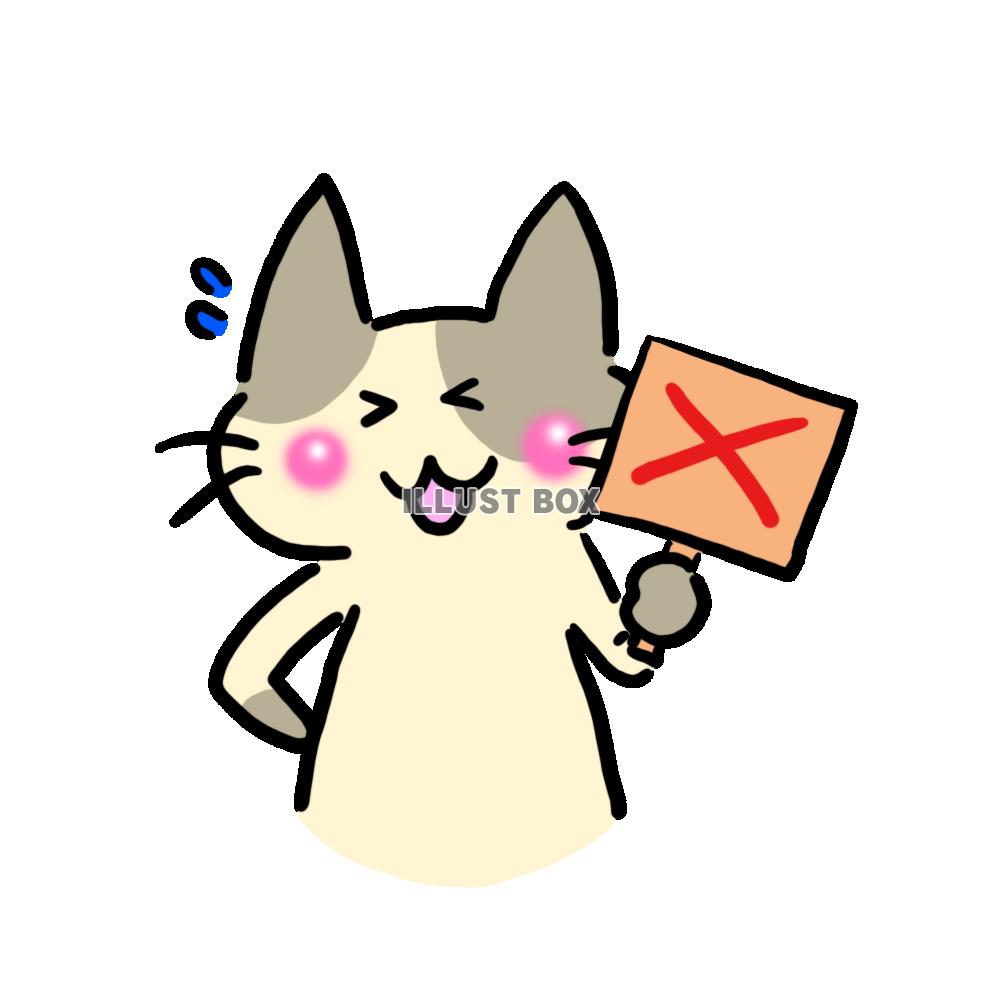 ハチワレ猫とブー