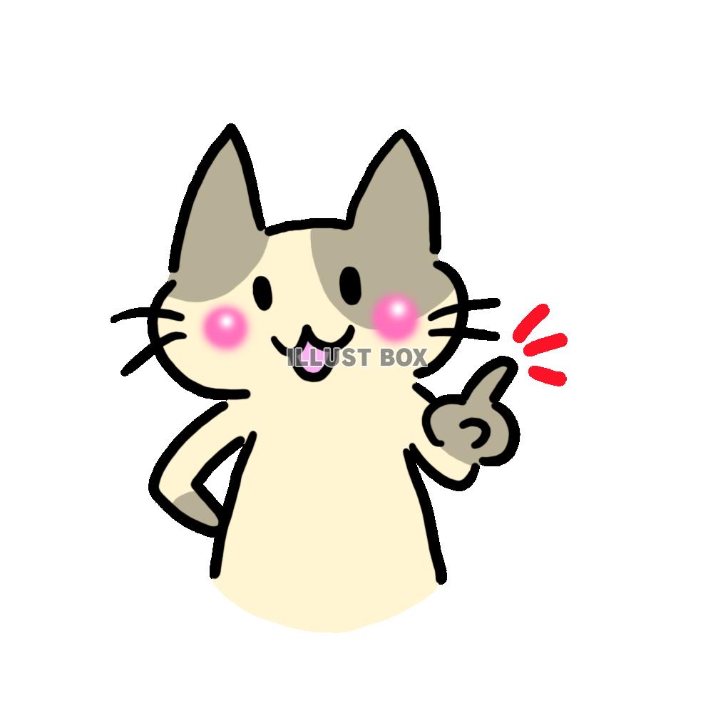 それな、なハチワレ猫