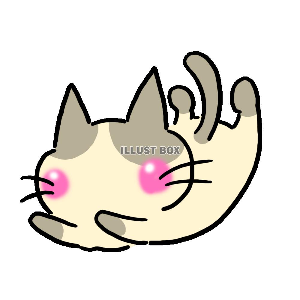 ずっこけハチワレ猫