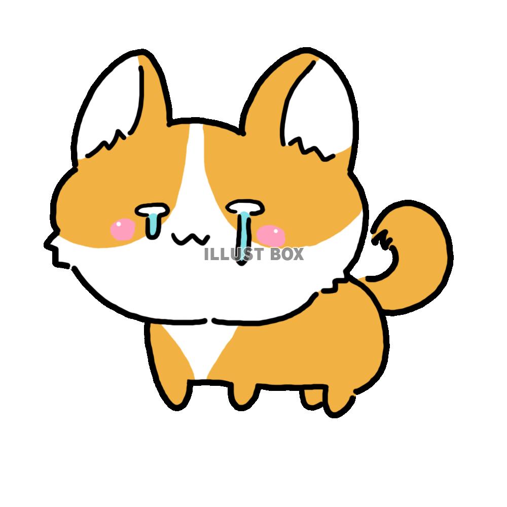 茶色のワンコ(涙)