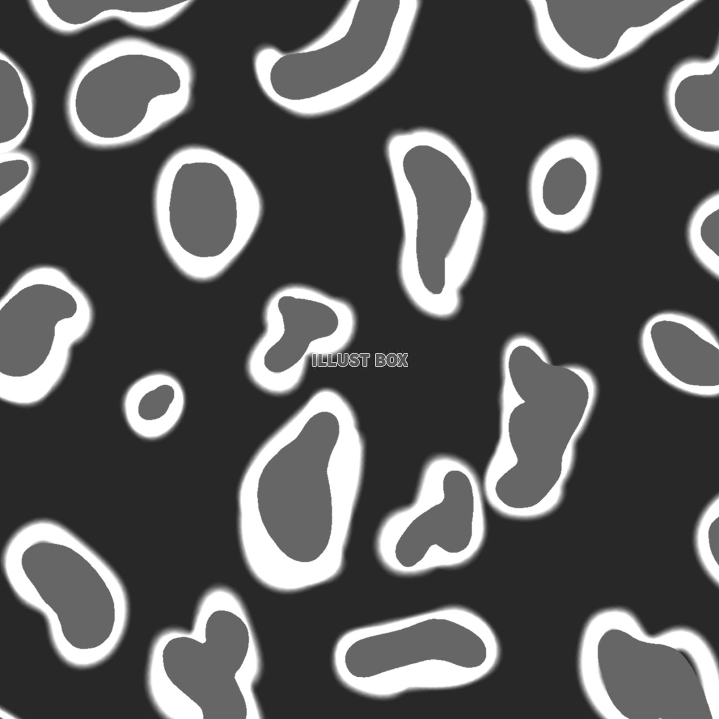 派手かわアニマル柄(⁠ブラック)