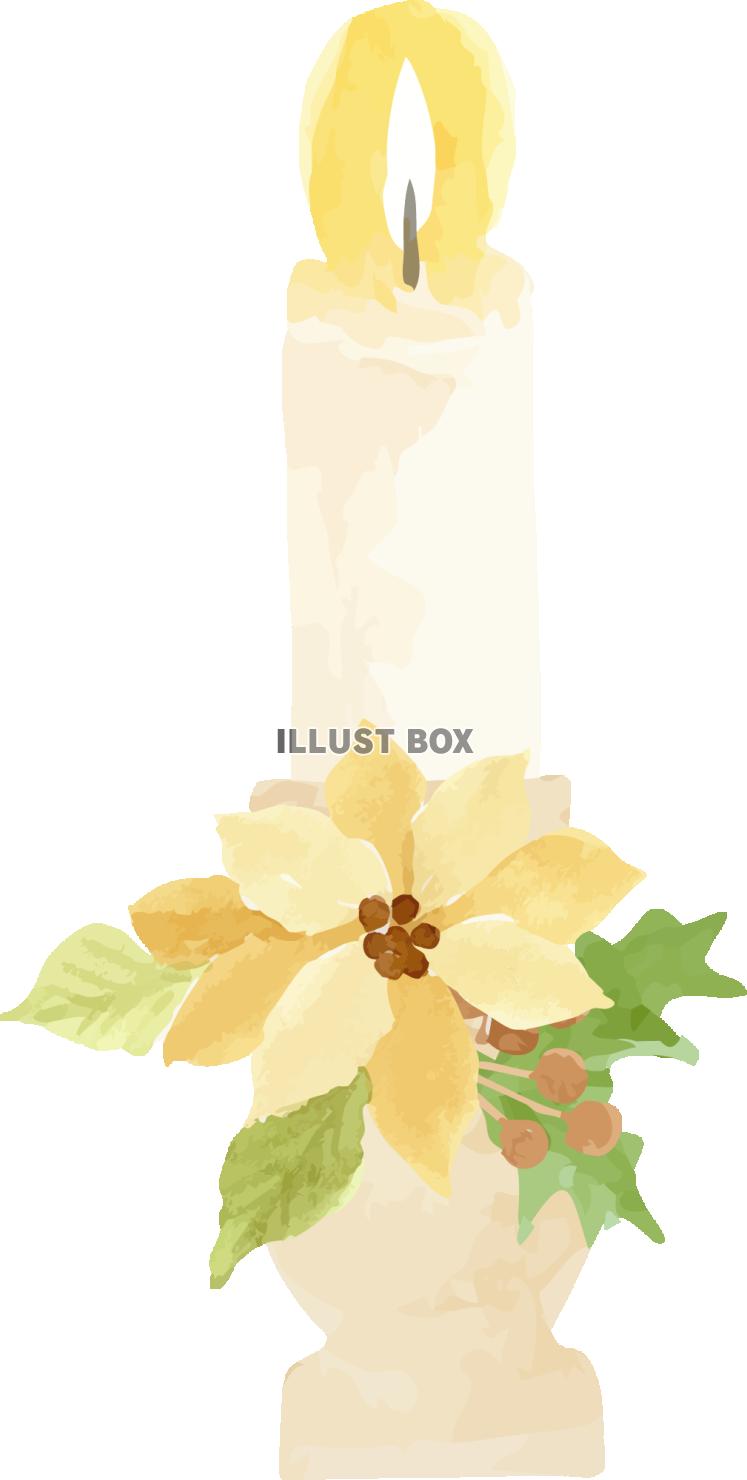 イエローポインセチア＆木の実のクリスマスシリーズ　イラスト１