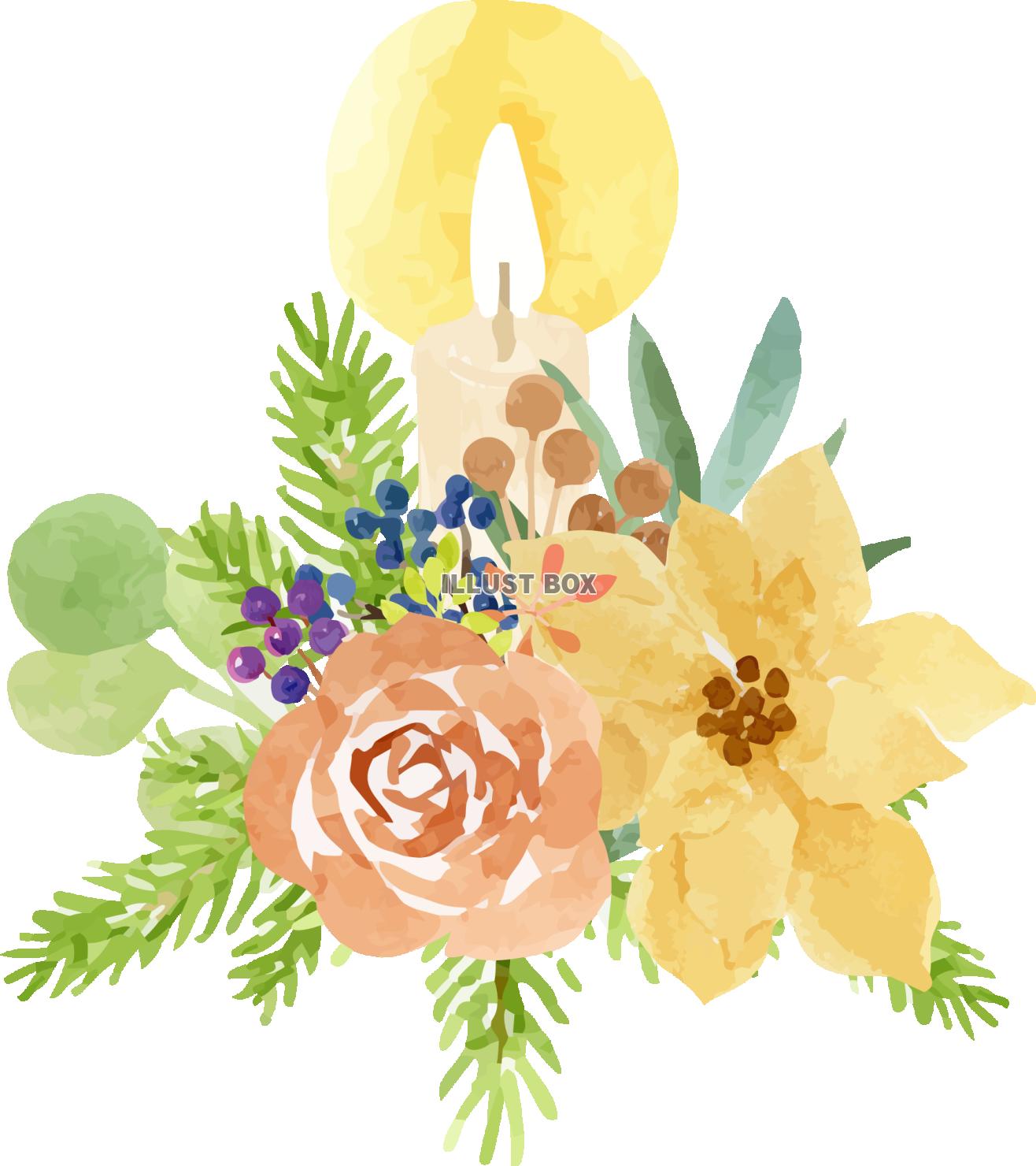 イエローポインセチア＆木の実のクリスマスシリーズ　イラスト３