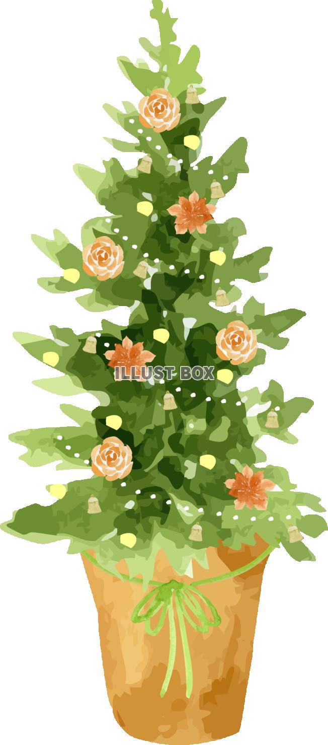 イエローポインセチア＆木の実のクリスマスシリーズ　イラスト５