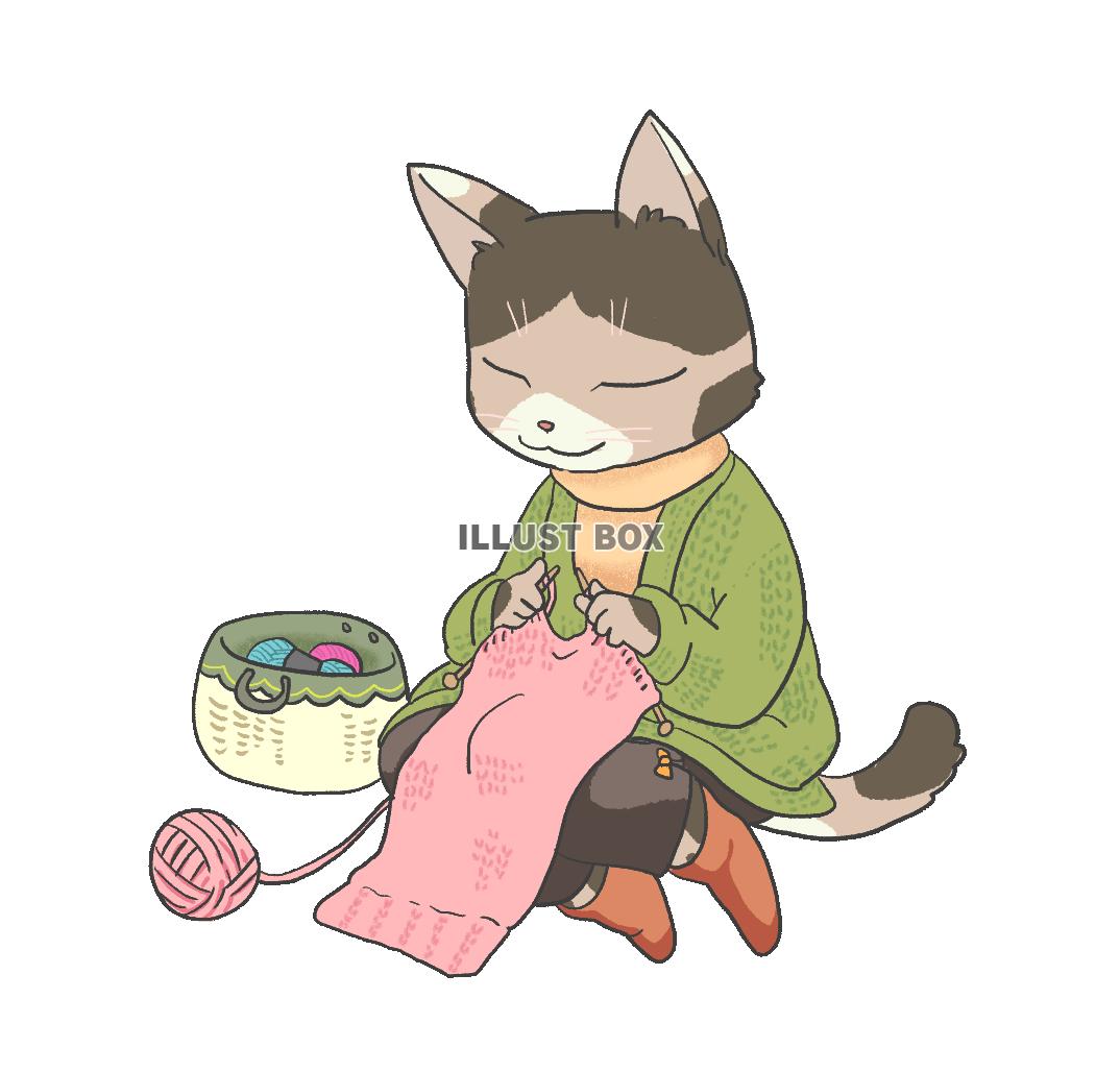 編み物をする猫