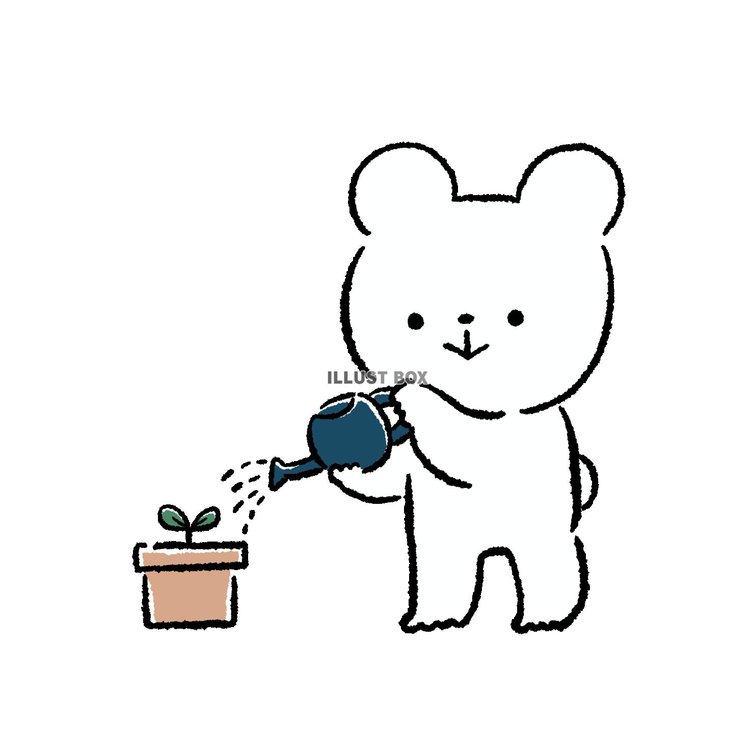 苗に水やりするくま