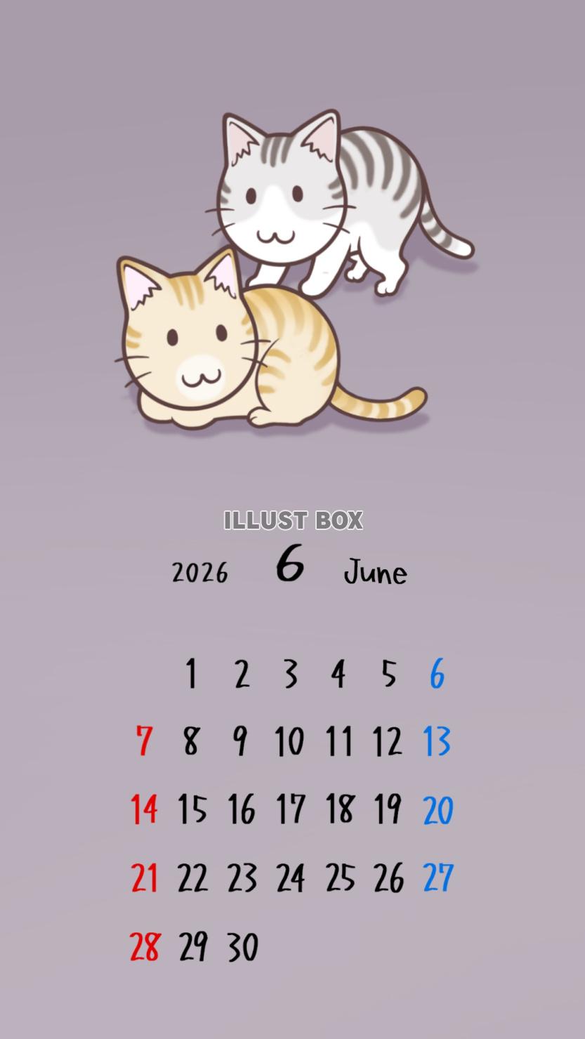 猫のスマホ壁紙カレンダー　2026年6月