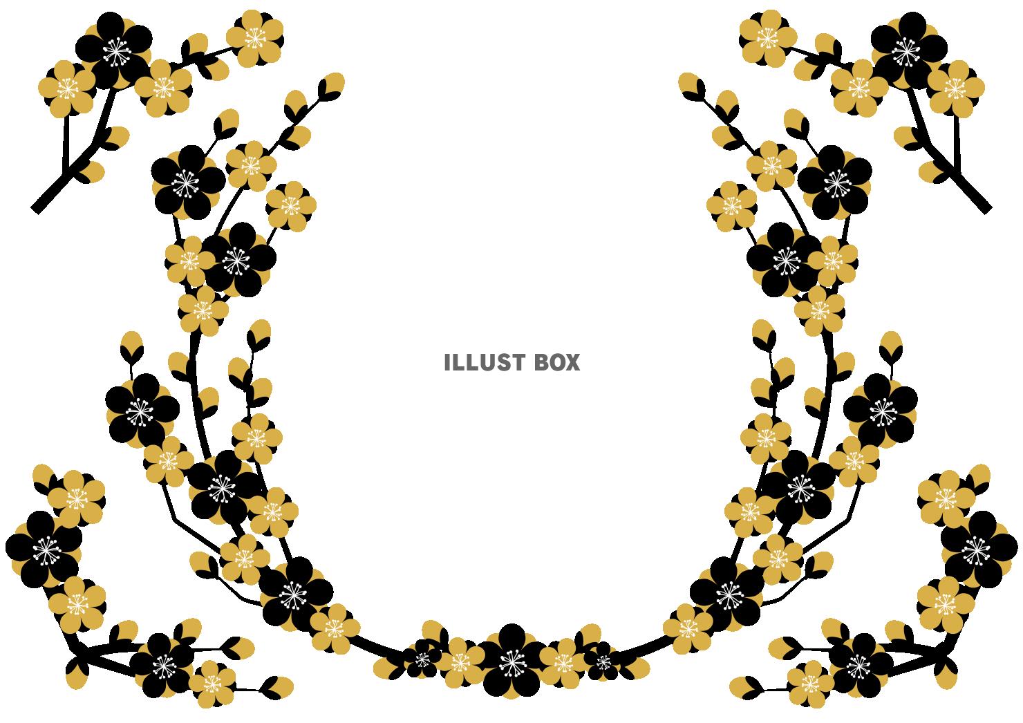 シンプル梅フレームセット金黒