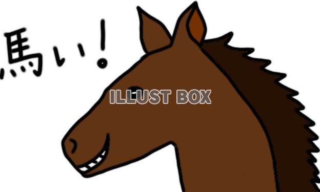 はにかむ馬【JPG】