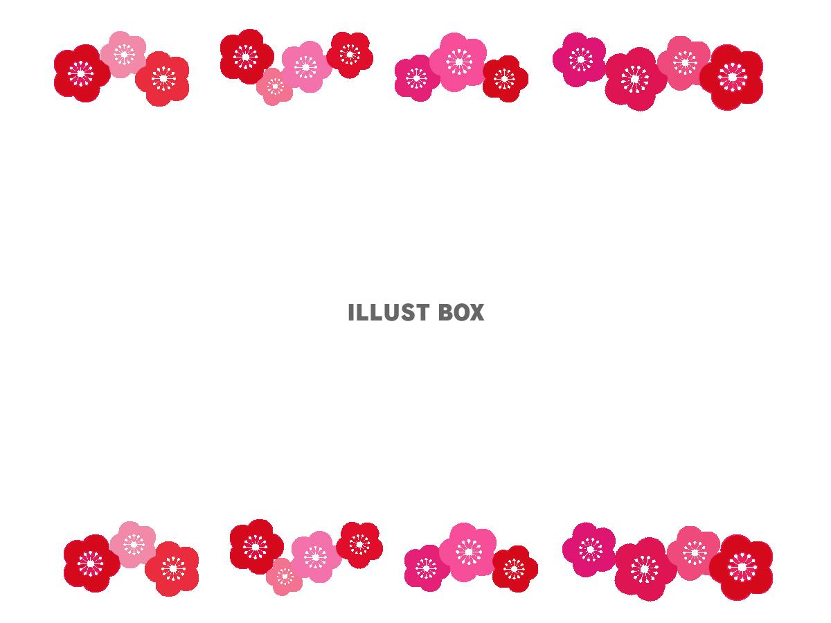 小さい梅フレーム　透過png