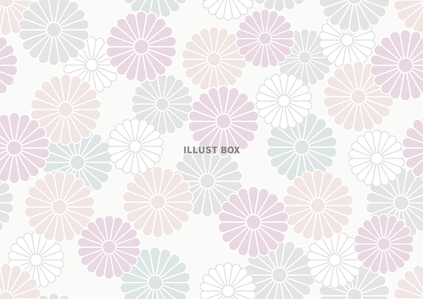 縦横両方向にシームレスな和柄パターン　菊紋