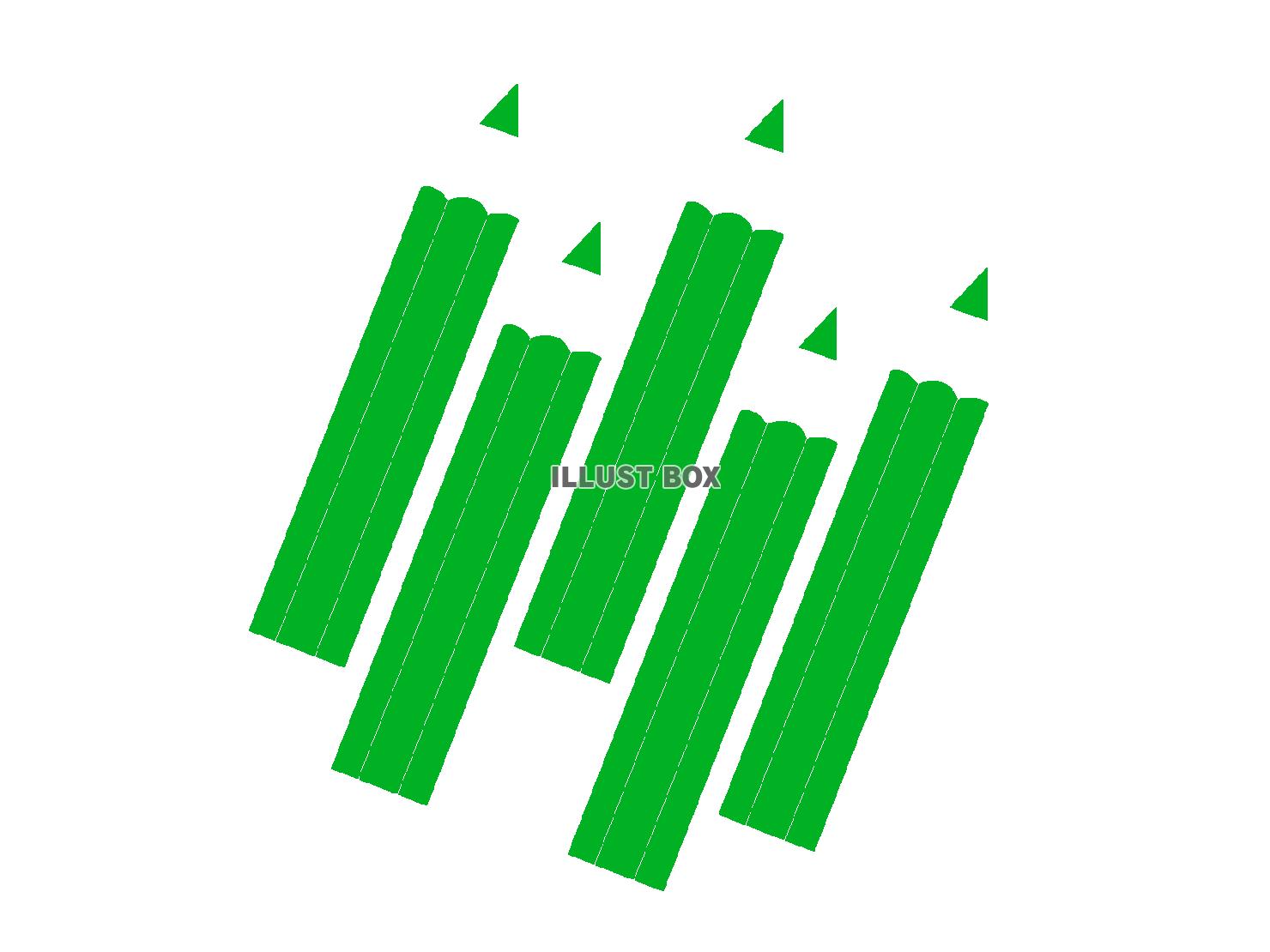 緑色の色鉛筆のシルエット