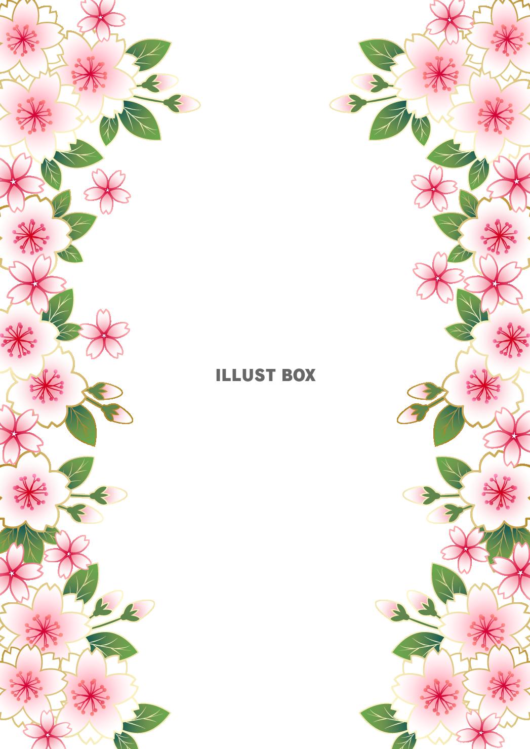 桜、フレーム、春、ピンク、縦、枠