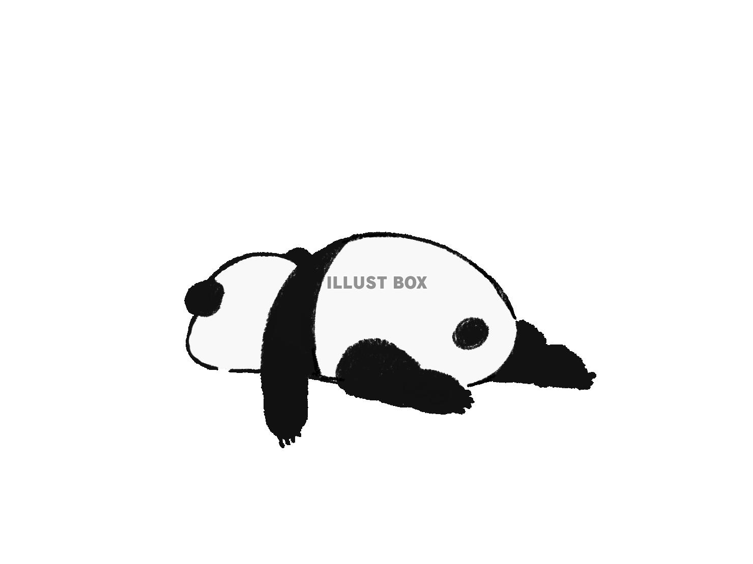 ぐでパンダ（PNG）