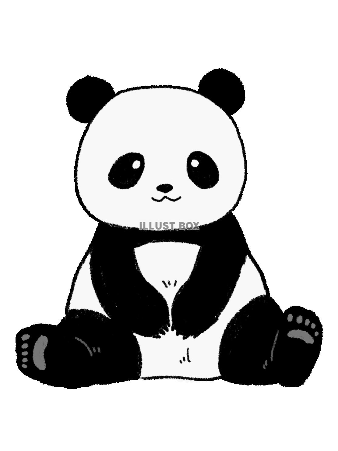 パンダ１（PNG）