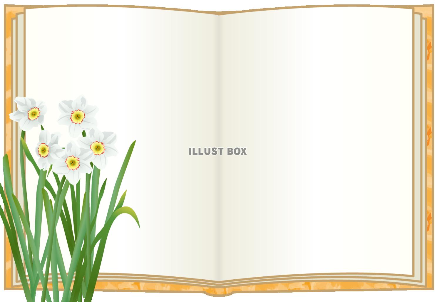 本のフレーム　口紅水仙（透過PNG）EPSはCS2