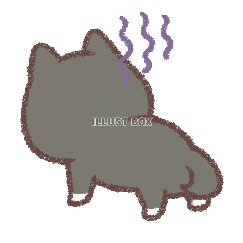 落ち込む黒柴犬