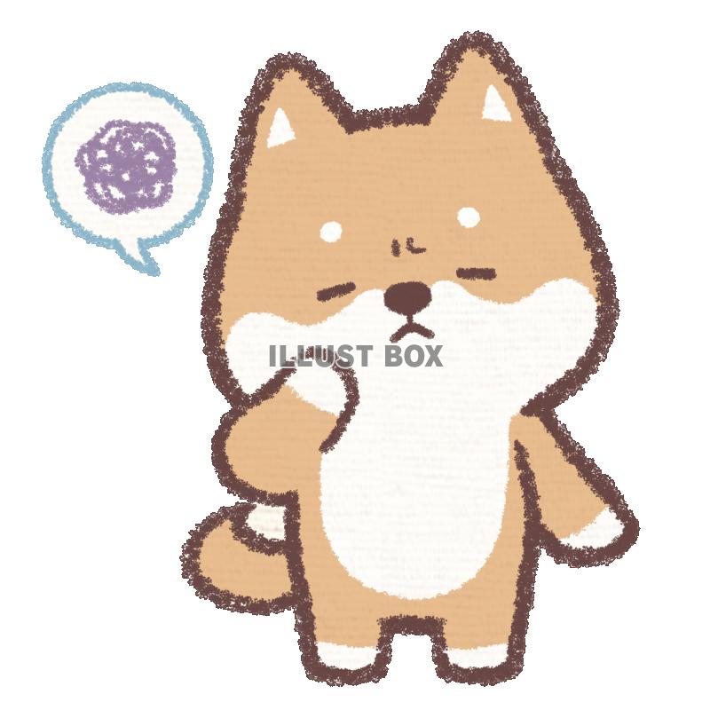 悩む柴犬