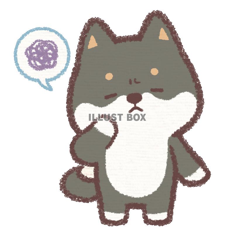 悩む黒柴犬