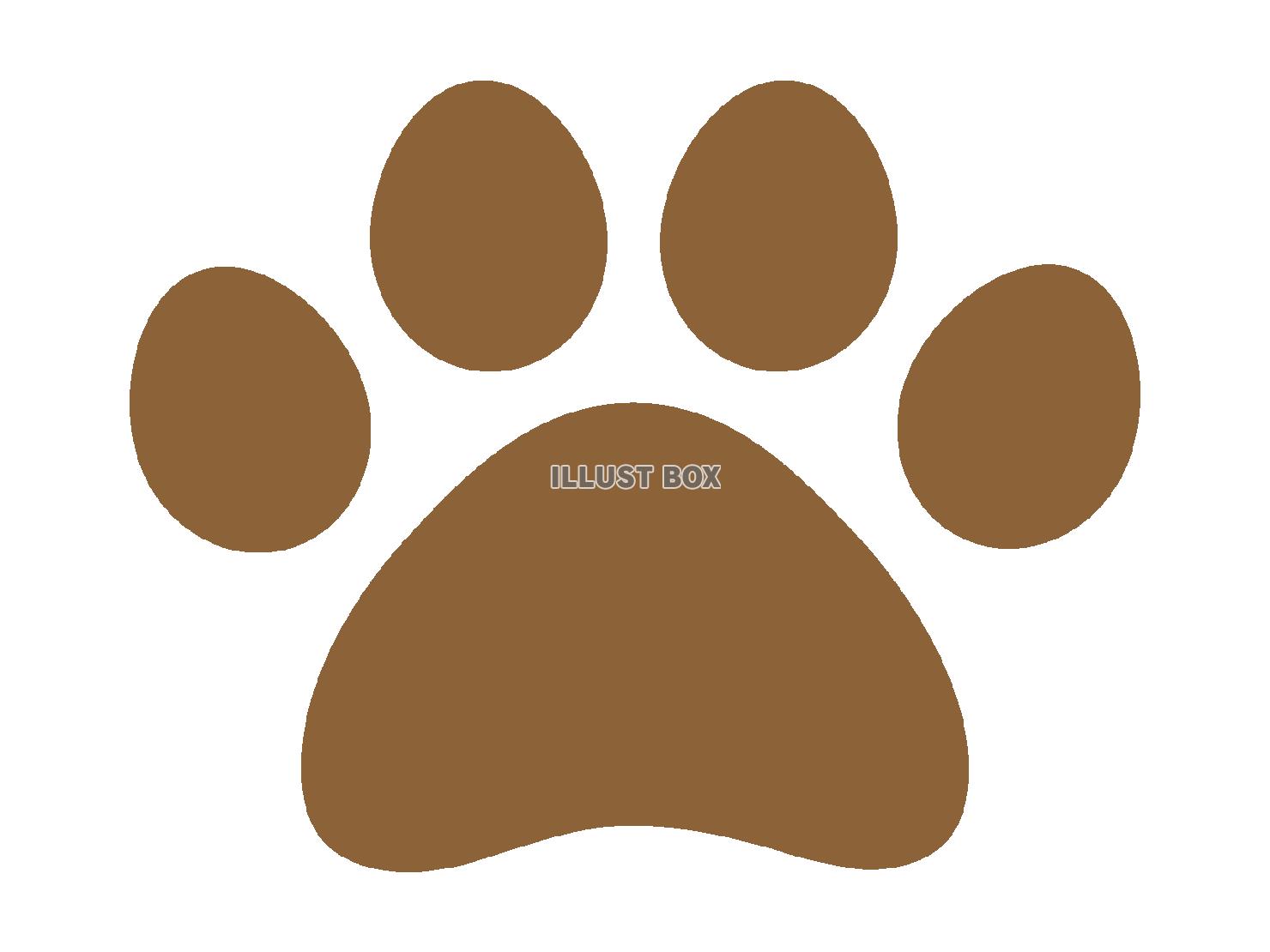 動物の足跡（犬や猫などの肉球）